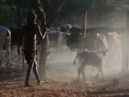 U Himbů